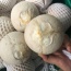 Dừa dứa siêu thơm, tươi mát